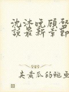 沈沐晚顾启珩小说最新章节免费阅读