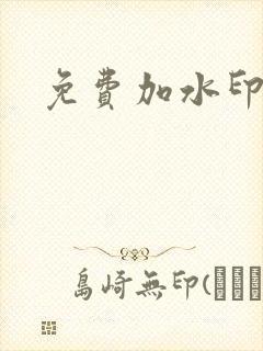 免费加水印软件