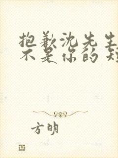 抱歉沈先生孩子不是你的 短剧