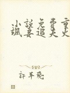 小说免费重生后飒妻追夫火葬场
