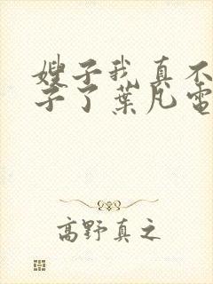 嫂子我真不是傻子了叶凡电子书完整版