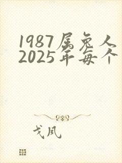 1987属兔人2025年每个月运气