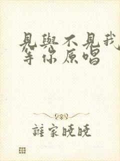 见与不见我都在等你原唱