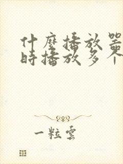 什么播放器能同时播放多个视频