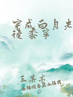 穿成白月光替身后 黍宁