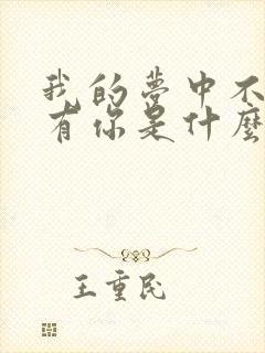 我的梦中不能没有你是什么歌