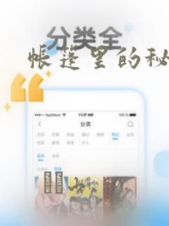 帐篷里的秘密：结局+番外
