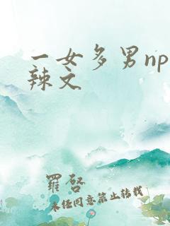 一女多男np高辣文