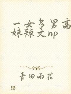 一女多男高h兄妹辣文np