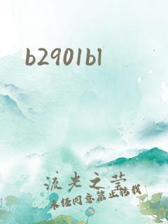 b2901bl