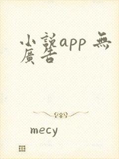 小说app 无广告