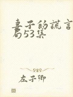 妻子的谎言大结局53集
