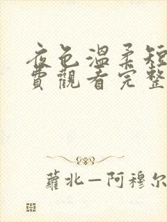 夜色温柔短剧免费观看完整版高清