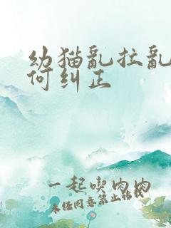 幼猫乱拉乱尿如何纠正