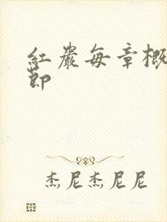 红岩每章概括情节