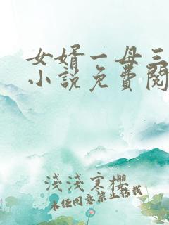 女婿一母三女的小说免费阅读