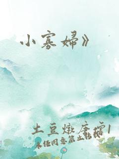 小寡妇》
