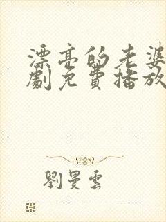 漂亮的老婆电视剧免费播放