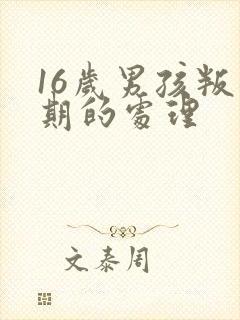 16岁男孩叛逆期的处理