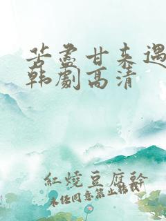 苦尽甘来遇见你韩剧高清