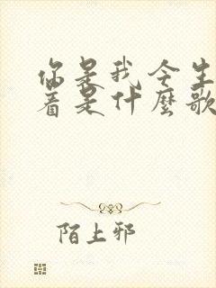 你是我今生的执着是什么歌