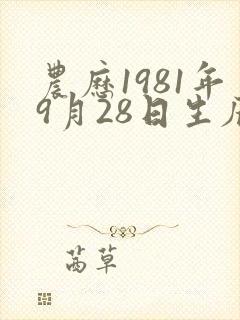农历1981年9月28日生辰八字算命