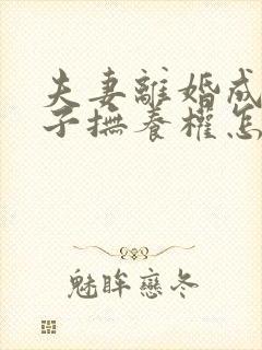 夫妻离婚成年孩子抚养权怎么判定