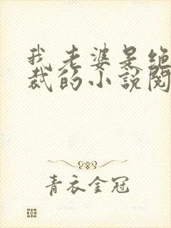 我老婆是绝色总裁的小说阅读