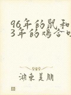 96年的鼠和93年的鸡合吗