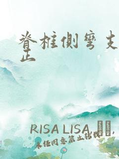 脊椎侧弯支具纠正