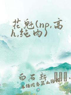 花魁(np,高h,纯肉)