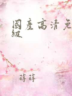 国产高清免费一级
