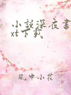 小说深夜书屋txt下载