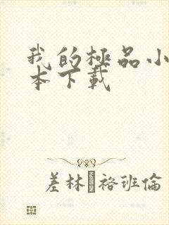 我的极品小姨全本下载