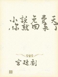 小说免费天亮了,你就回来了