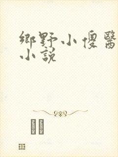 乡野小傻医有声小说