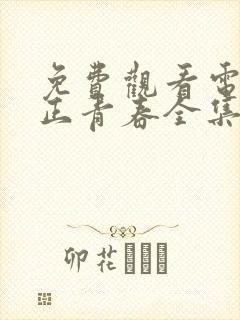 免费观看电视剧正青春全集在线播放