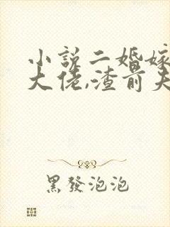 小说二婚嫁豪门大佬,渣前夫失了控