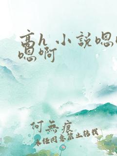 高h 小说嗯嗯嗯啊