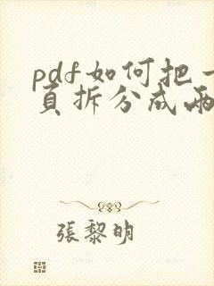 pdf如何把一页拆分成两页打印