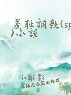 羞耻调教(sp)小说