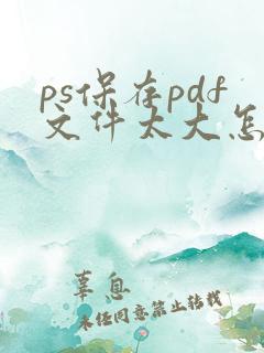 ps保存pdf文件太大怎么弄小