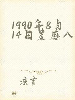 1990年8月14日农历八字