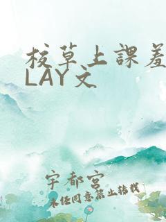 校草上课羞耻PLAY文