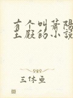 有个叫萧阳是龙王殿的小说叫什么