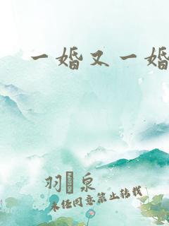 一婚又一婚