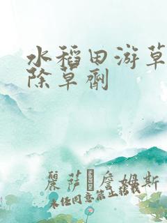 水稻田游草专用除草剂