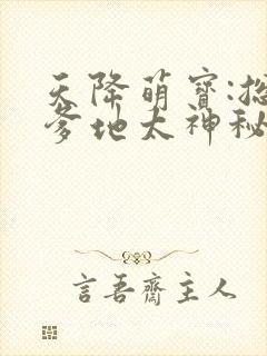 天降萌宝:总裁爹地太神秘