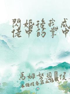 闪婚后我成了大佬中的掌中之物