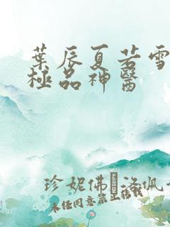 叶辰夏若雪都市极品神医